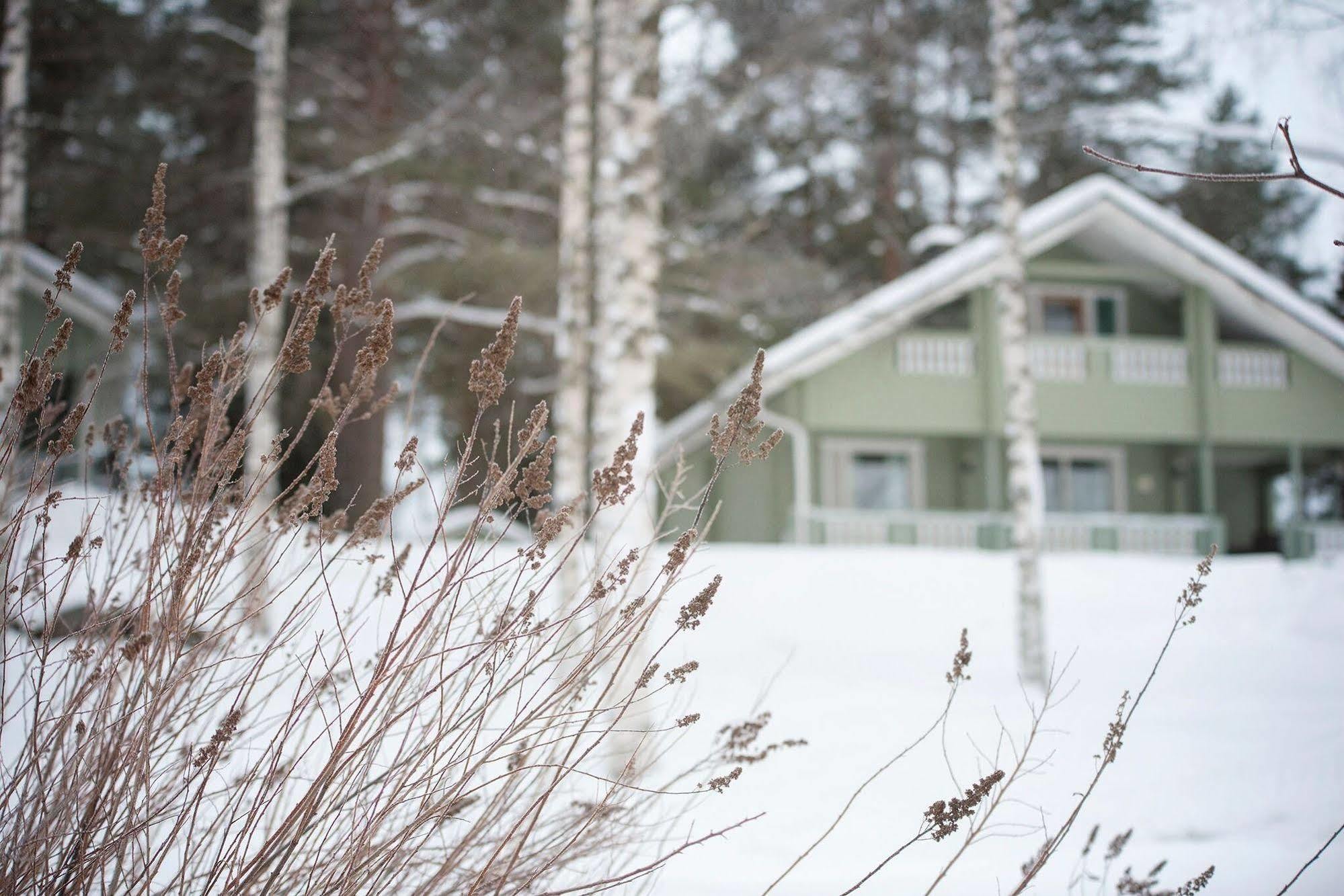 Loma-Rantala Cottages ターコブオリ エクステリア 写真